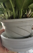 Flower pot base Plastic round flower tray Water tray Flower pot tray Flower pot chassis shallow tray