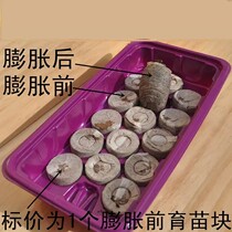 Whole box preferential price Ningbo Aijia nursery block net bag compression convenient treasure sowing flower seed nursery box