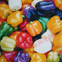 Yellow pepper seeds Balcony ornamental edible Organic planting vegetable seeds Simple novice easy to grow four seasons