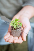 Norway imported Jiffy Jiefei seedling block 38mm convenient treasure 30mm cuttings sowing seeds Flower pots flower seeds