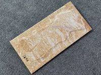 2483 Имитация грибной каменной настенной плитки