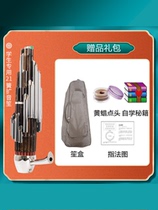 L Jingyi Wang Zeshuang Sheng musical instrument 21 reed amplified sheng for students Sheng for beginners Sheng for band use Sheng for children
