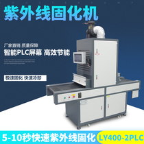Customized UV UV curing machine LY400-2 PLC control desktop dual light UV light curing machine assembly line UV machine