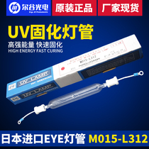 EYE Japan Iwasaki UV curing lamp UV light curing lamp UV UV curing lamp High pressure mercury lamp Halogen lamp