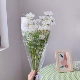 10 белый+сумка Yingwen+кружево