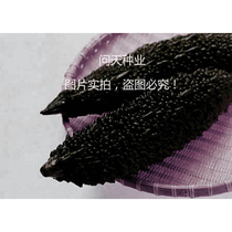 Black Pearl Bitter Melon Seeds Black Bitter Melon Seeds Light Bitter Bitter Melon Seeds Vegetable Seeds