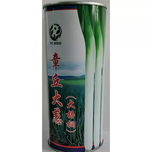 Шаньдун Чжанкю, зеленый лук, база лука из четырех сезонов весна и осенью