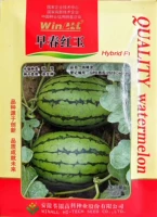 Tsuen yin in in spring red Jade 200 зерна оригинального украшения