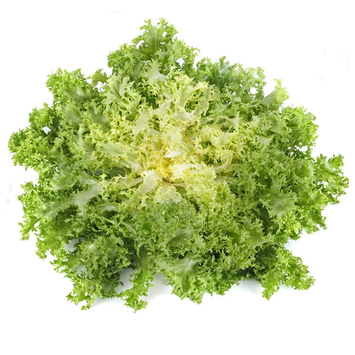 Горькие семена Daquan фермерский дом горький хризантем рапный рапный рапс Семена овощей, укусы, семена горьких овощей, весна и осень и зимние четырех сезонов рапс рапсы