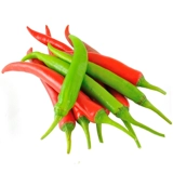 Импортные семена моноклонального хаотского перца --- Принц Чаодзия Одинокий острый семена высокого перца Ранний CLICP для ранних кликов