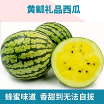 Flower skin yellow soil yellow Xiaoyu watermelon seeds small super sweet early maturity resistant to low light temperature single fruit 3kg