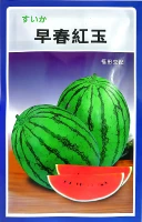 Около 180 капсул, импортируемых из Футаяна, Японии