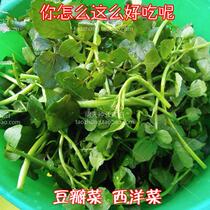 (Watercress seeds) watercress seeds are called super and vegetable seeds. Wild vegetable seeds are sown in four seasons.