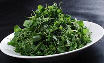 (Alfalfa seed) green lawn seed flower seed ornamental fruit and vegetable seed pasture seed A