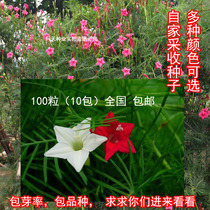 Pteryophyllium seeds vine flowers Cosmos sunflowers Four Seasons indoor and outdoor climbing vine five-star flower seeds A