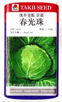 Takijing mating resistant early-maturing cabbage seeds Chunguang Pearl cabbage seeds Shouguang vegetable seeds