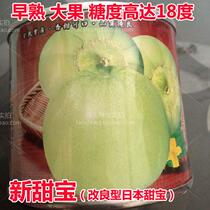 (New sweet treasure melon seeds) modified Japanese sweet treasure very early mature large fruit type sugar content up to 18