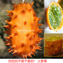 Big fruit Pingjiangguo seed Martian fruit) Sea cucumber fruit) African cucumber seed) thorn Melon Melon fruit seed