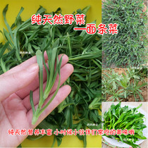 Pasta seeds woodland wild vegetable seeds rich nutrition 25 days harvest four seasons sown flower seeds A