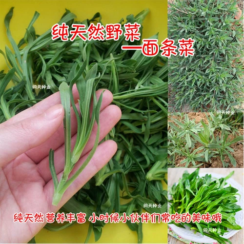 Овощи с лапшой и дикие овощи восхитительны.