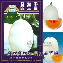 Crystal snow melon seeds imported white peel orange meat melon seeds vegetable seeds fruit seeds