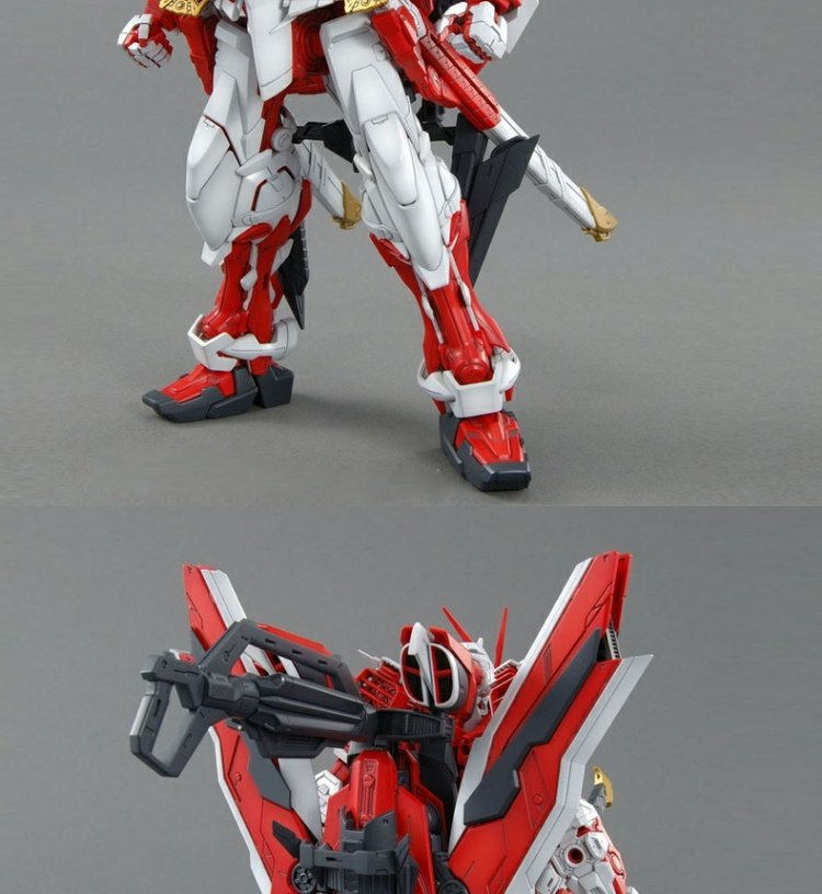 Bandai Gundam Model MG Red Heresy Warring States Blue Heresy D Fans Gundam Red Heresy Change SEED 1/100 - Gundam / Mech Model / Robot / Transformers mô hình gundam mini