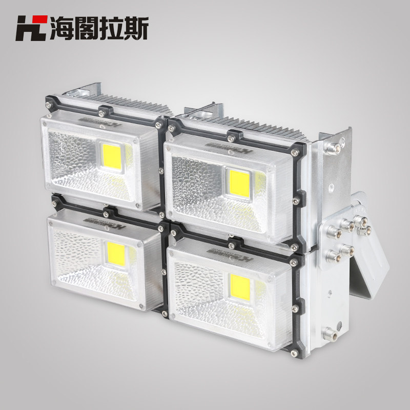 ������˹ledͶ���HC-GTG02-30W