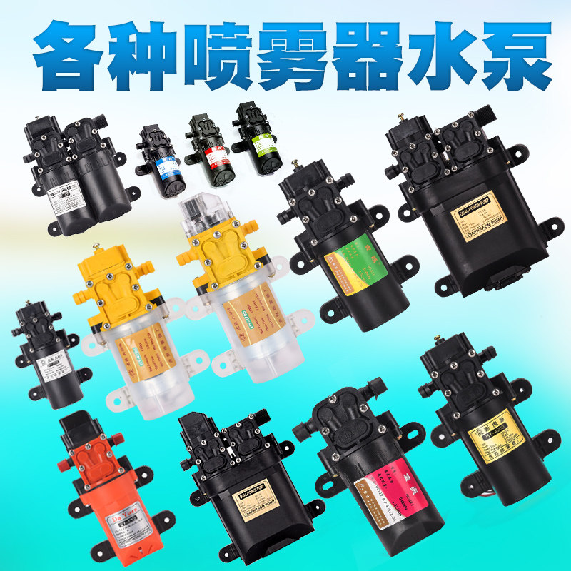 Rain Ruingling Otiger Leap Electric sprayer 12V volt agricultural self-suction car wash Intelligent pressure High power double water pump