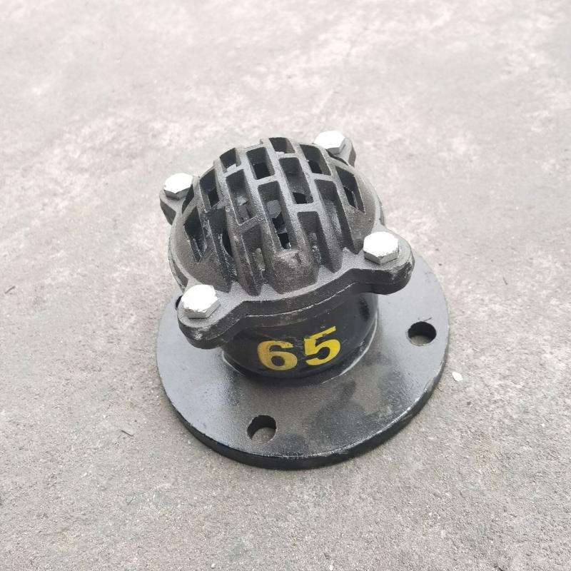 H42X-6 10 thickened cast iron flange bottom valve lifting bottom valve flower basket check valve pumping water pump valve lotus shower head