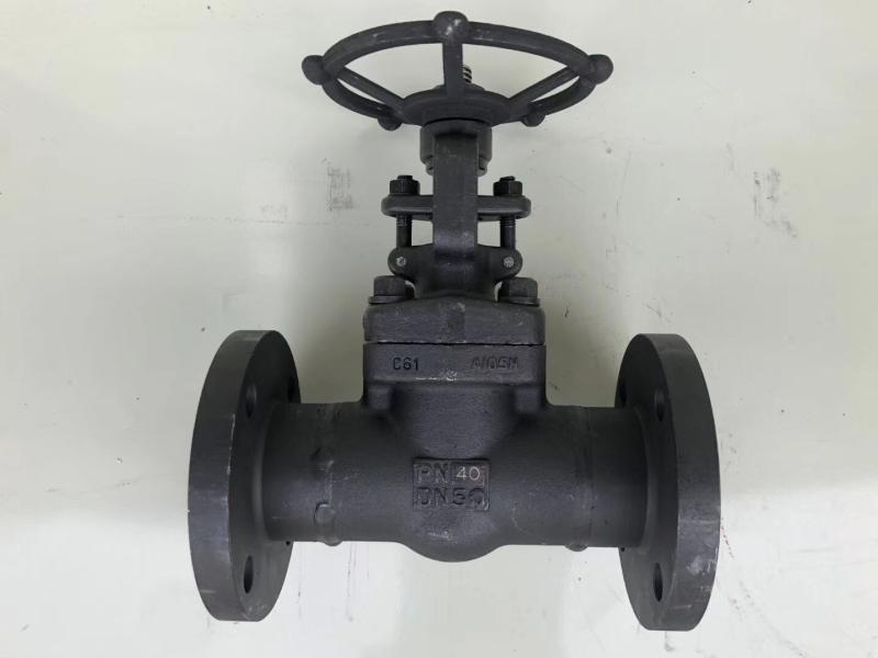 Z41H-25C Z41H-25C 40C 64C 100C 100C steel high-pressure flange gate valve hard sealing gate valve DN15 20 25 50