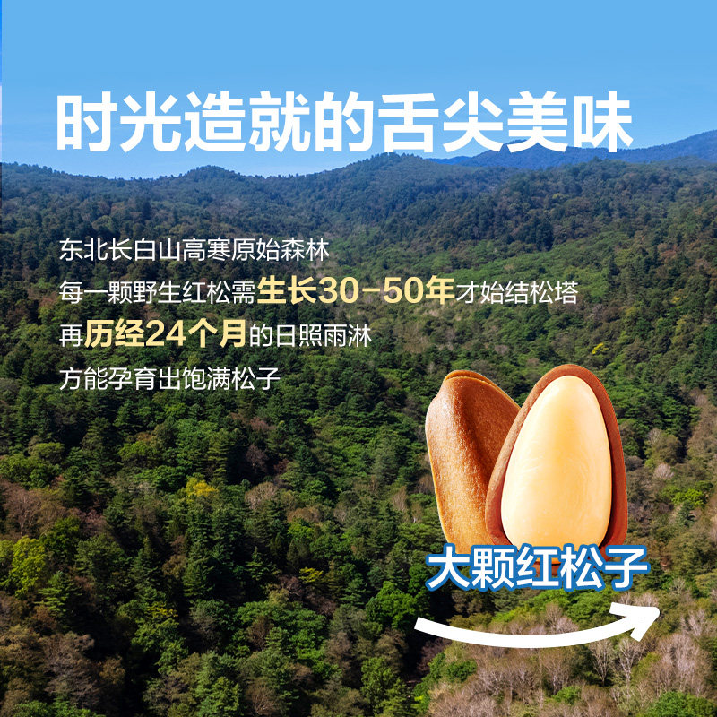 Bestore 2025 Northeastern Pine Nuts 500g Hand-Peeled Extra Large Open Pine Nuts in Jar Packaged Dried Nuts New Stock