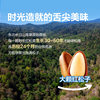 Bestore 2025 Northeastern Pine Nuts 500g Hand-Peeled Extra Large Open Pine Nuts in Jar Packaged Dried Nuts New Stock