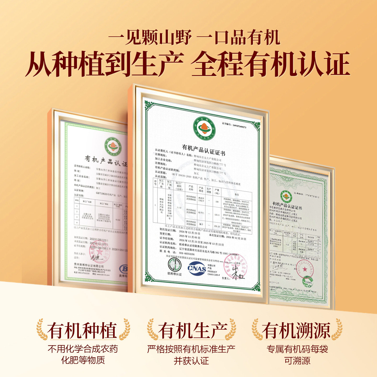 Bestore New Year's Organic Nut Gift Box Food Gift Set for Elders and Visiting Relatives Group Purchase