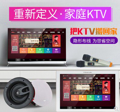 Sky Music 10 Inch Background Music Host Anjo System Suit K Song Home Theater Power Amplifier Sound