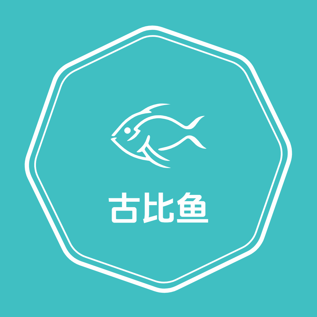 古比鱼科技企业店