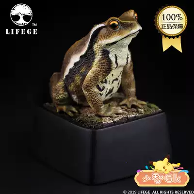 Xiaozhi gk LIFEGE biological statue series Japanese big toad