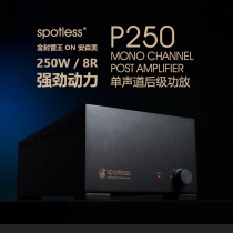 Spotless P250 single channel rear amplifier 250W high power HIFI amplifier