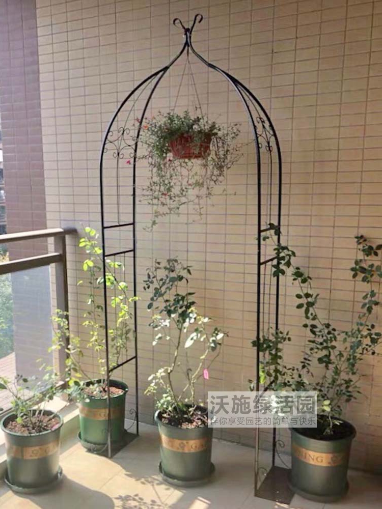 New European Wrought iron small balcony arch flower stand Climbing pergola climbing Clematis moon gardening flower stand