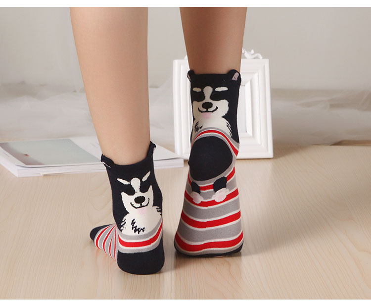 Chaussettes - collants dbwz001 - Ref 754598 Image 22