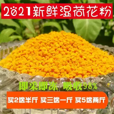 2021 fresh wet Lotus pollen pure natural 500g edible bee pollen farmhouse unbroken Honey Lotus pollen