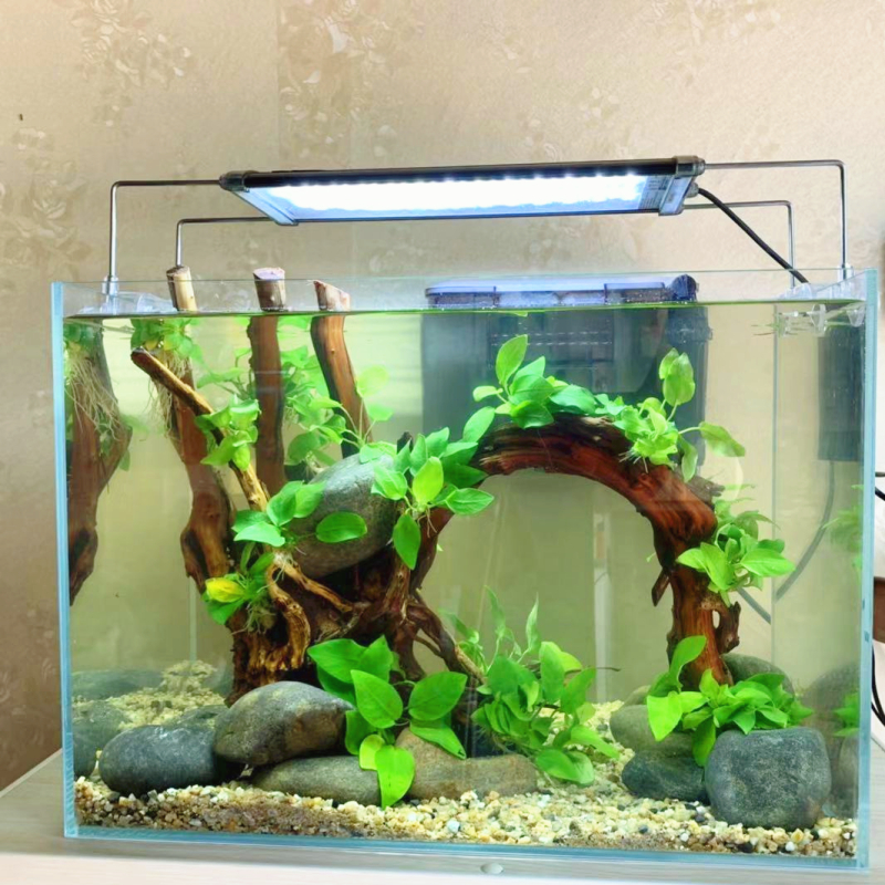 Sink wood view cuckoo root fish tank water grass arch bridge-shaped sunken wood arched slug water banyan negative water grass sinking wooden skeletons