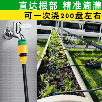 Family potted irrigation watering dripper plant wall potted sword drip watering flower bonsai drip irrigation flower shower flower
