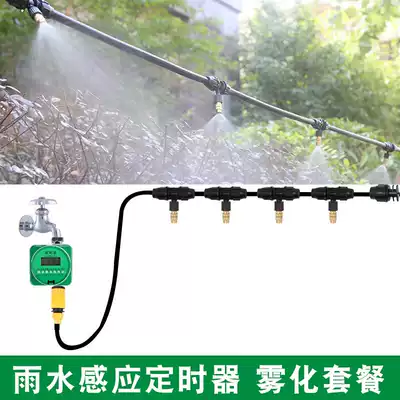 Kill and cool rain induction automatic timing watering device copper nozzle atomized watering potted gardening micro-spray irrigation