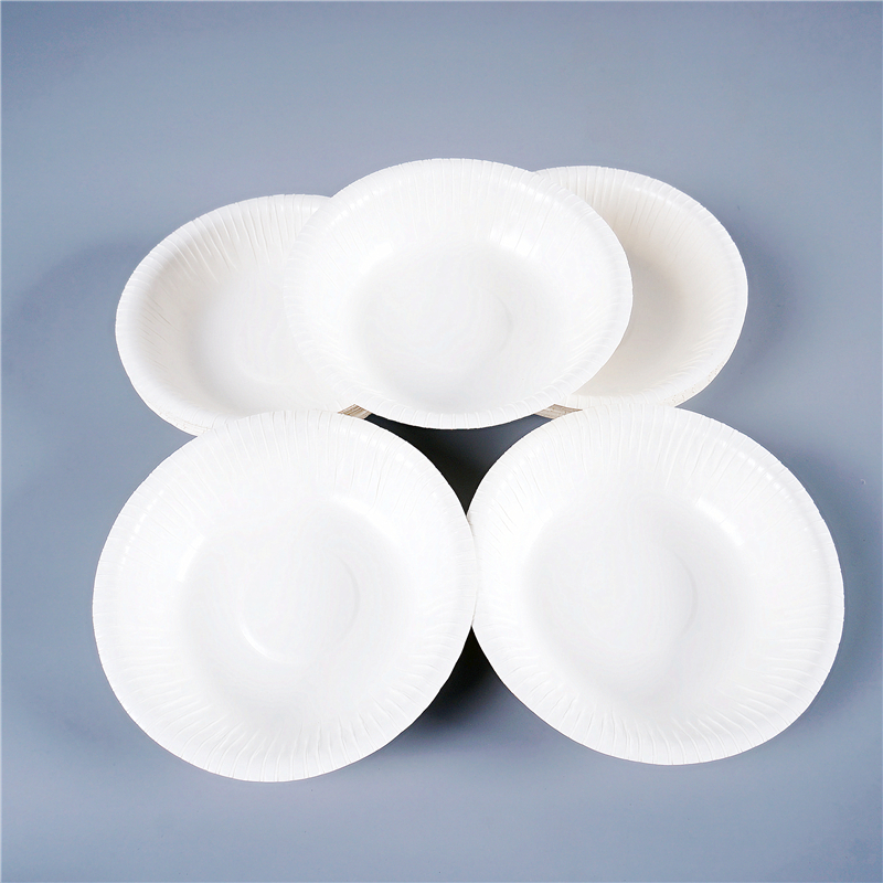 A6 day single good quality disposable eco-friendly thickened paper disc Picnic Barbecue Dish Cake Dish paper bowls October 31