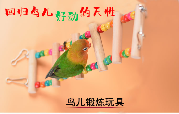Chim cung cấp thép không gỉ vòng vẹt chân vòng mắt cá chân hổ da peony vẹt đồ chơi đu chim lồng phụ kiện - Chim & Chăm sóc chim Supplies siêu thị lồng chim