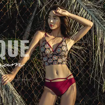2020 Korean burgundy sexy bikini big chest gathered couple beach pants goddess deep V busty swimsuit hot spring