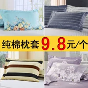 Mùa hè bông gối bông gối bao gồm gối gối đơn rắn da màu gối bìa 48x74cm một cặp 20 - Gối trường hợp