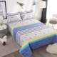 Bông giường bông bao gồm ba mảnh tấm bìa bông bông duy nhất mảnh 1,8 / 1,5 m được dày lên giường Seasons - Trải giường