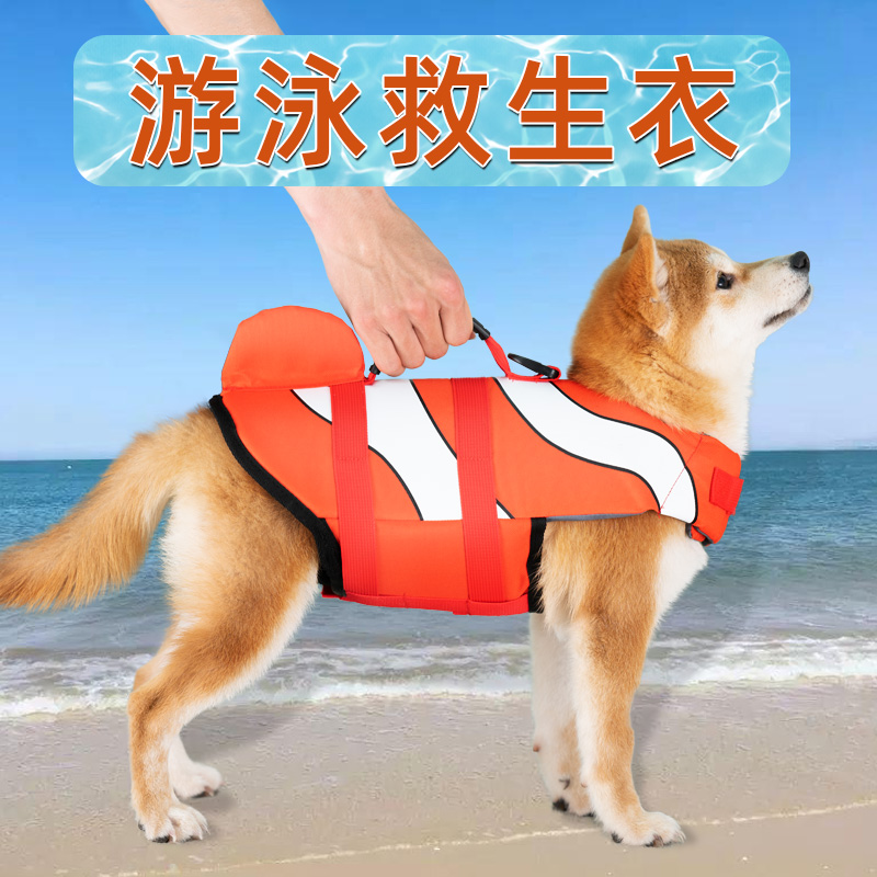Swimming dog clothes summer life jacket small dog with pet swimming ring supplies Shiba Inu Bichon Fudge Corgi
