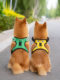 Dog leash Teddy supplies dog rope dog leash dog walking Shiba Inu small and medium-sized dog pet vest-style harness